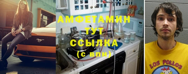 индика Вяземский