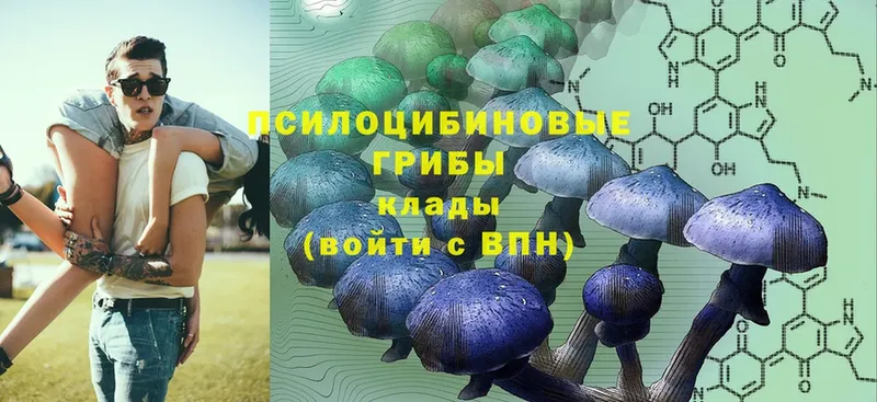 Галлюциногенные грибы MAGIC MUSHROOMS  Аркадак 